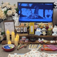 宠物家长客户见证