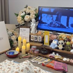 宠物家长客户见证